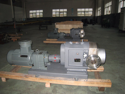 普利施65PLST6-10 日用化工轉子泵,甘油、化妝品料漿輸送泵 價格優惠歡迎咨詢圖片_高清圖_細節圖-江蘇普利施泵業 -